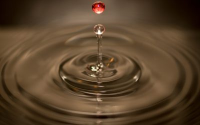 O 1% que ferra com os outros 99%